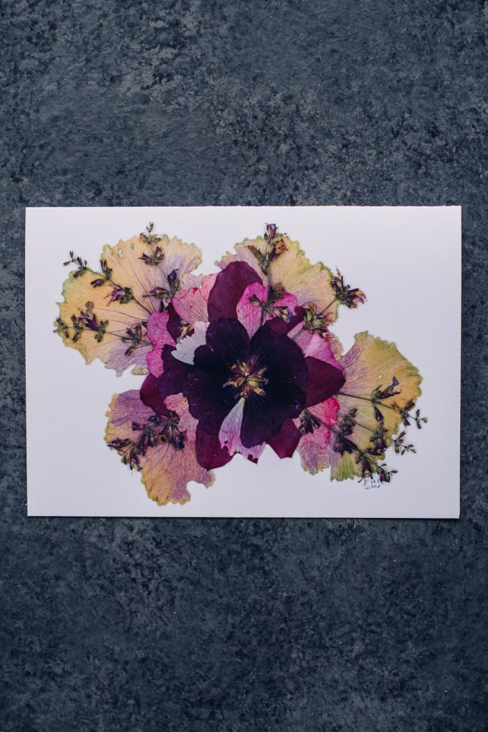 Burgundy Kale & Sage Flower Greeting Card