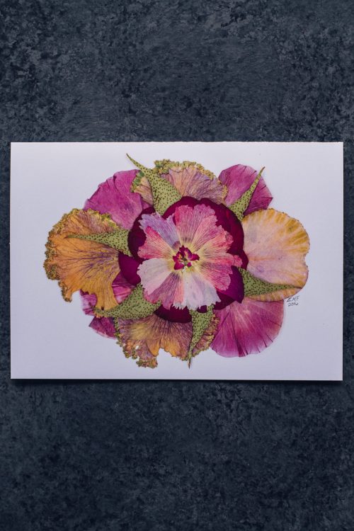 pressed pink kale made into art for a greeting card