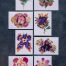 set of pressed flower art 5x7 greeting cards