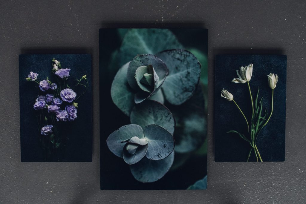 set of metal prints showing eucalyptus, lavender lisianthus and white tulip