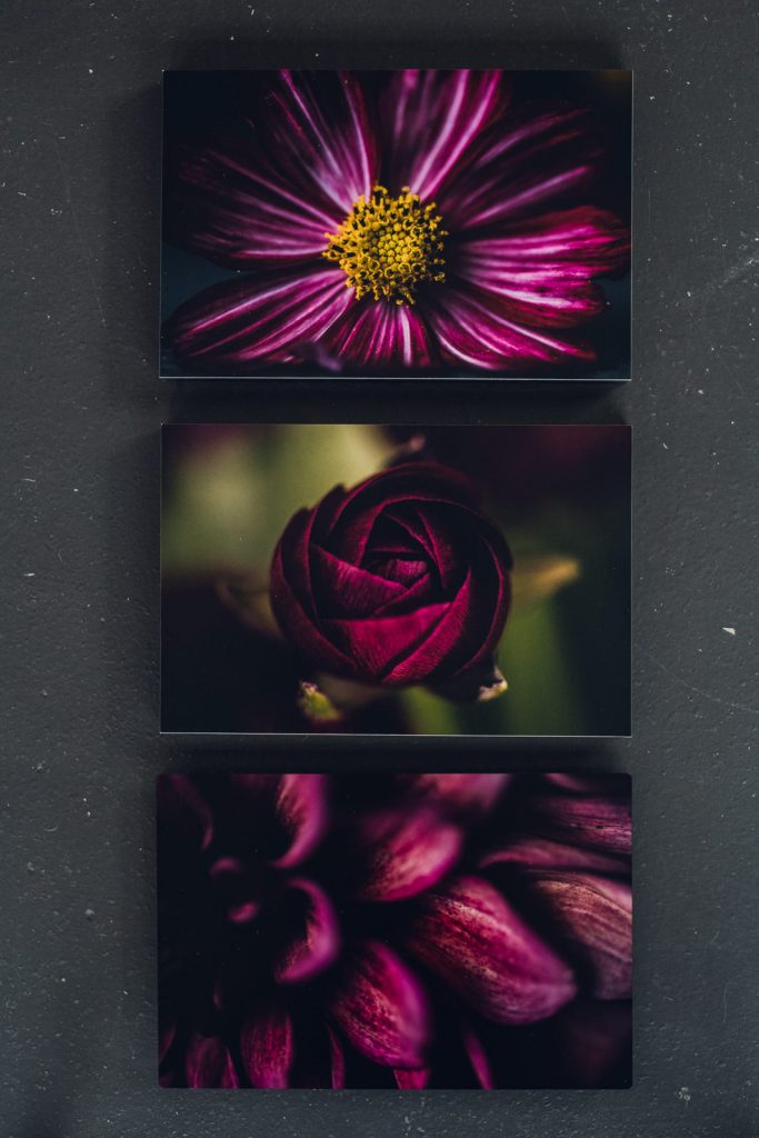 set of three metal prints featuring a pink cosmos, red ranunculus and magenta dahlia
