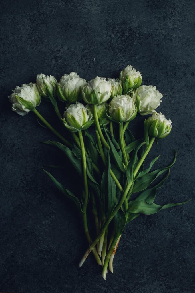 bunch of white double novelty tulips