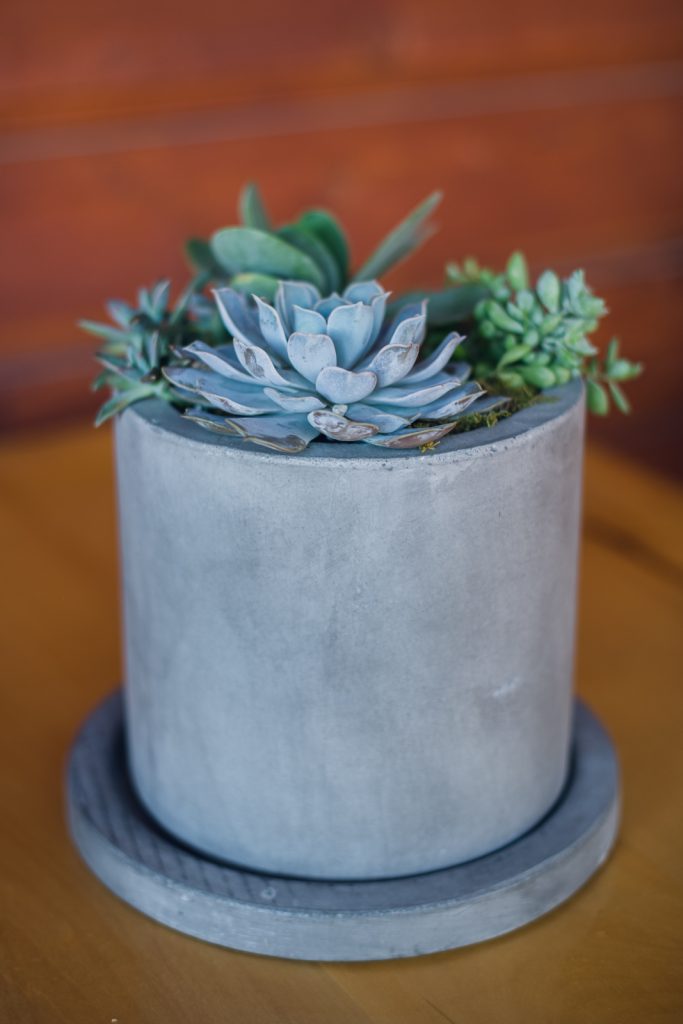 concrete centerpiece with green and blue succulents