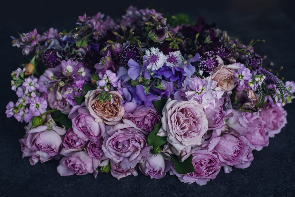 umbre of purple monochromatic flowers