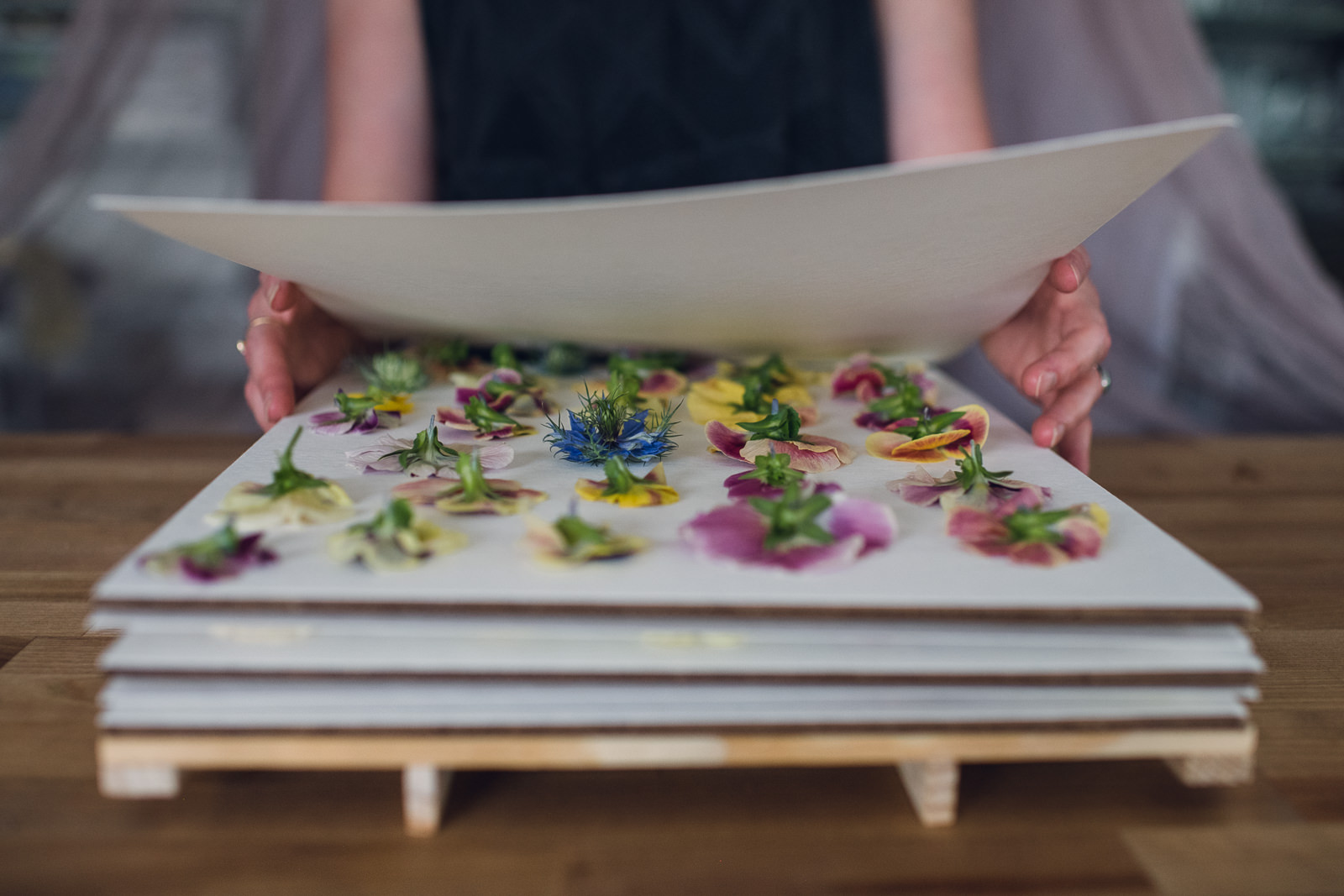 Pressing flowers in a wooded flower press.