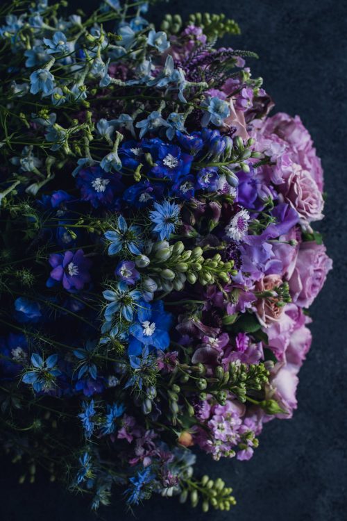 blue purple and pink flowers arranged in an ombre