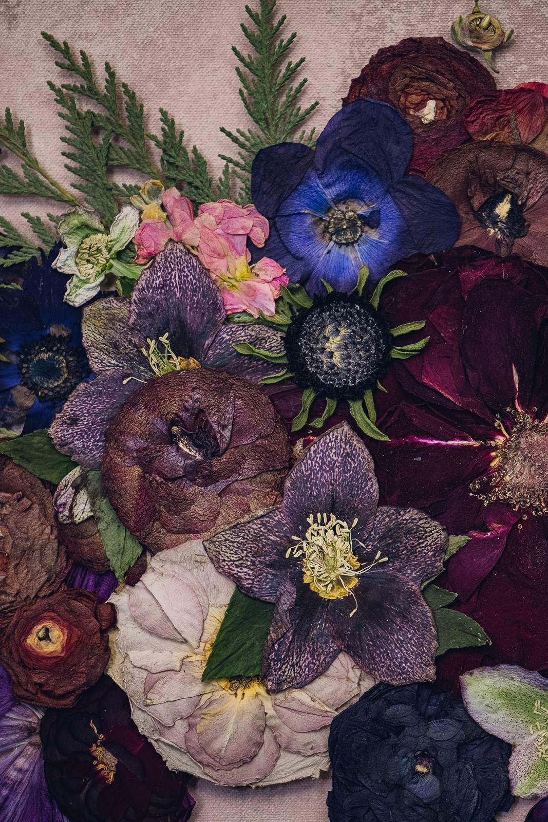 layers of pressed flowers creating bouquet preservation art
