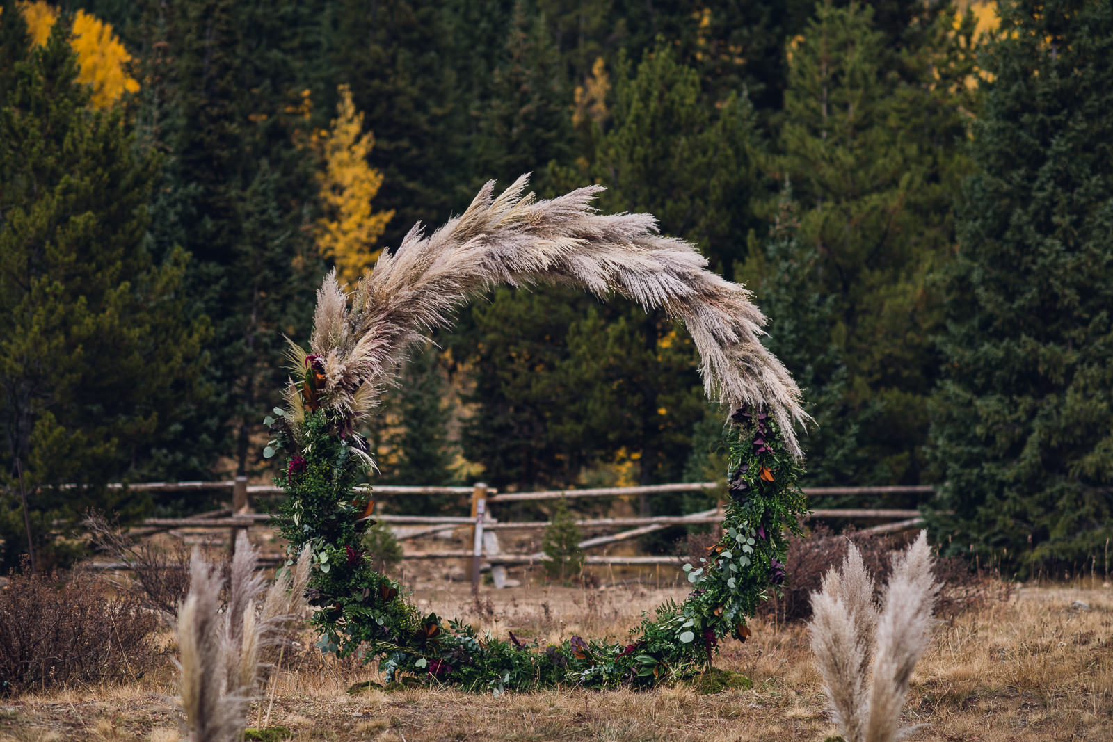 wedding ceremony circle arch fully covered with pampas grass and greenery