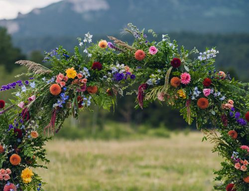 All About Wedding Ceremony Arches