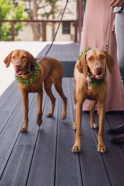 wild-blossoms-vera-christian-the-landing-estes-park-wedding-web-52
