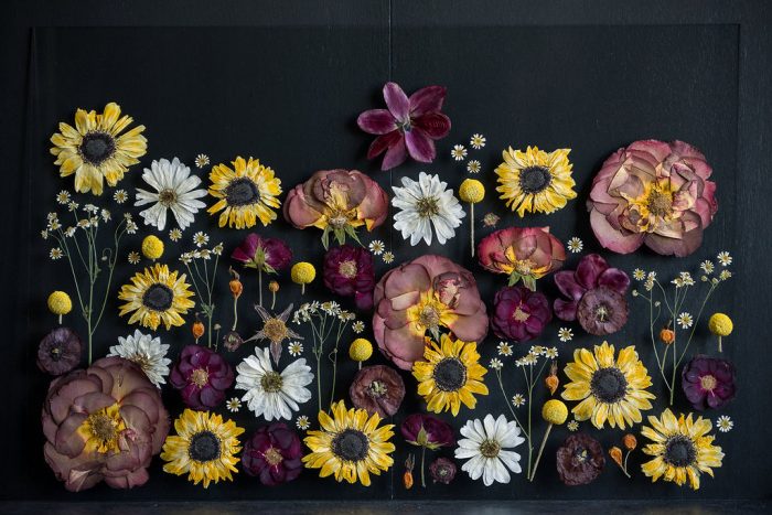 Pressed Flower Preservation 20x30 - Image 15