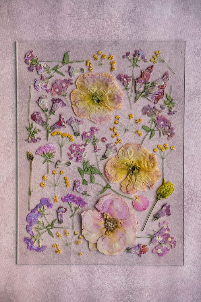 Pressed Flower Preservation 12X16 - Image 16