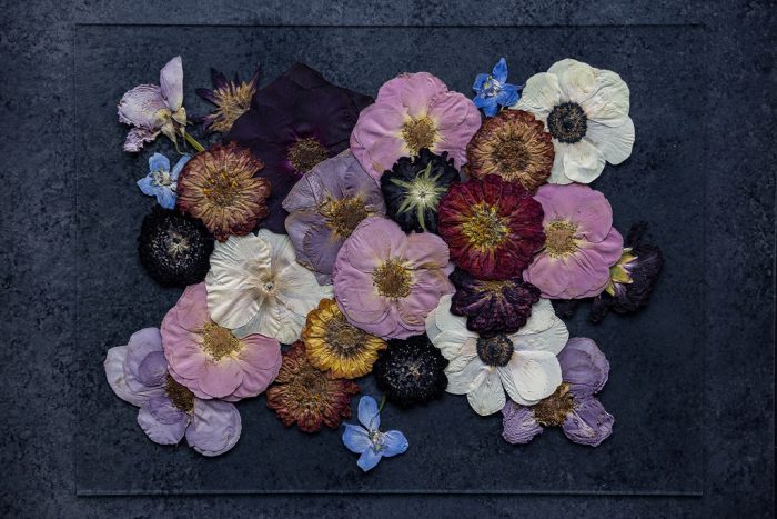 Pressed Flower Preservation 12X16 - Image 7