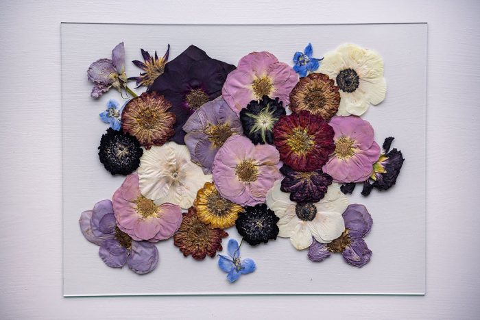 Pressed Flower Preservation 12X16 - Image 8