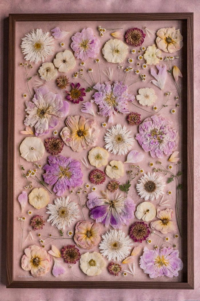 Pressed Flower Preservation 20x30 - Image 22