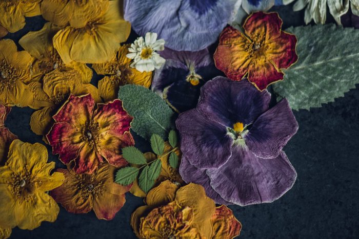 Purple Pansy & Orange Rose Pressed Floral Print