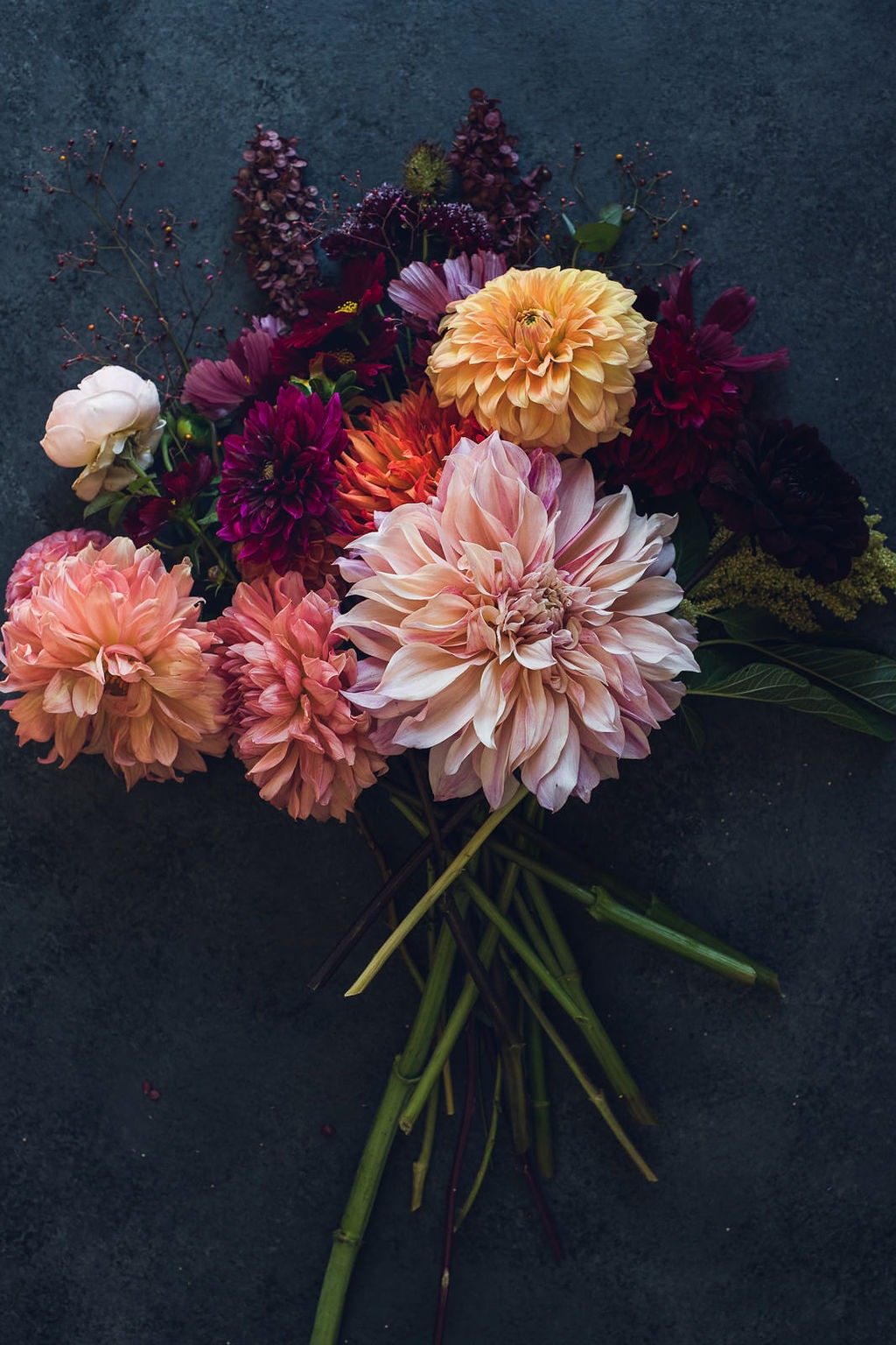 Floral Print - Colorado-Autumn-Wild-Blossoms-Final-4964