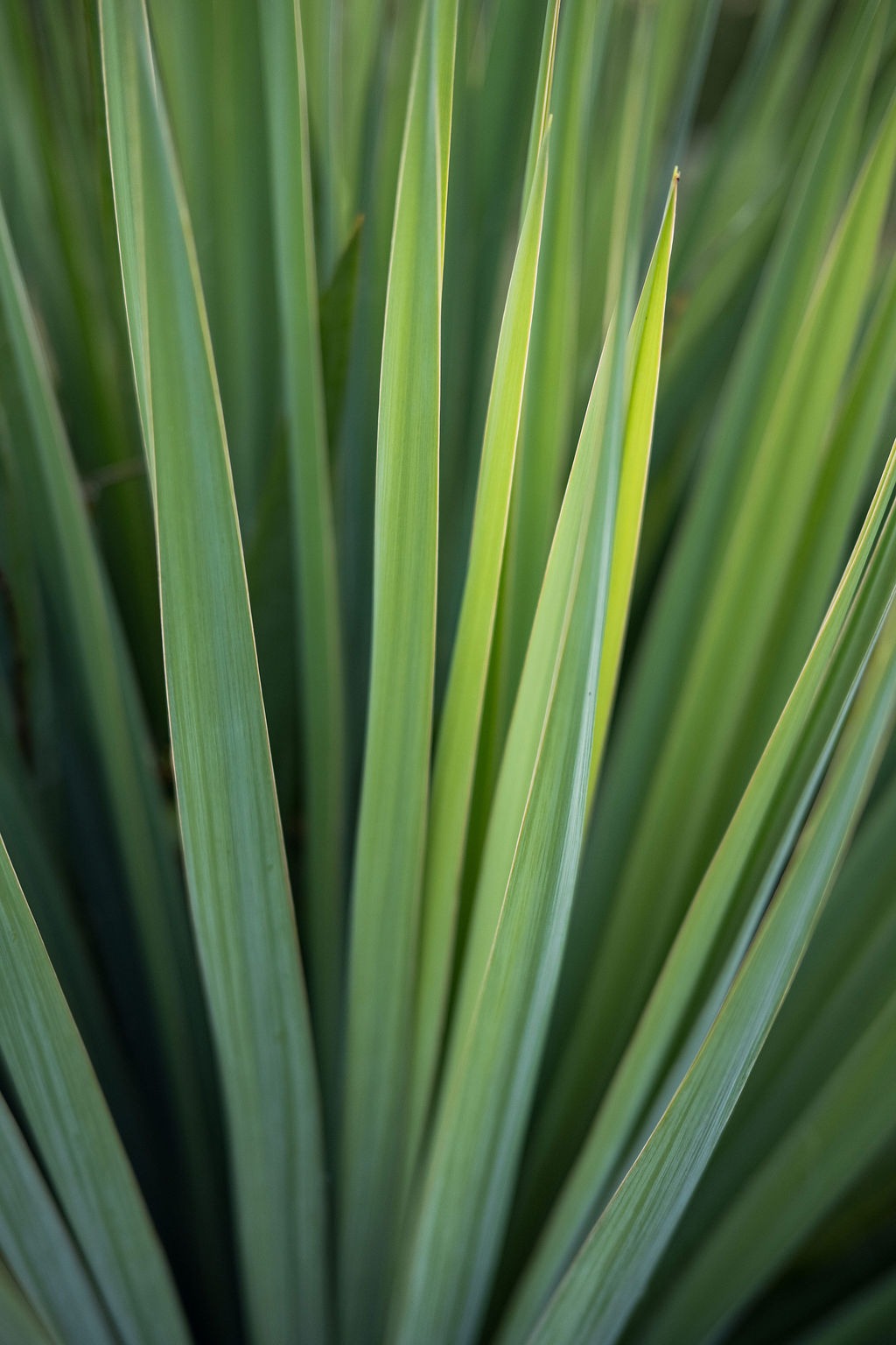 Floral Print - Highland-Sidewalk-Closet-Before-After-Summer-2025-124