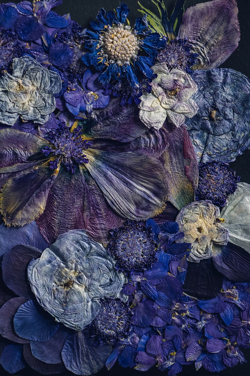 Floral Print - Bouquet-Preservation-Pressed-Art-Feb-2022-123